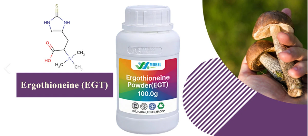 Ergothioneine Powder EGT Supplier